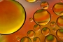 Oil