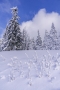Krkonoše