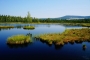 Šumava II