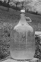 Matěj Šubrt - Džbán