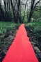 The way