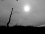 Lucie Le - ....-