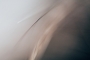 Abstraktní fotografie - balet?