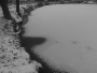 Rybník