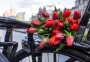 Hanging out in Amsterdam