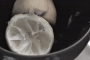 Citron