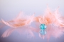Feathers