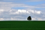 Pavel Hlavaty - Variace na Windows