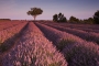 Večerní Provence