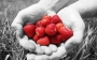 Sweet life