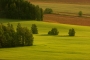 Fotograf roku na cestách 2016 - Barevná krajina