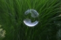 Bubble