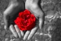 Ladislava  Indrova - Holding the rose