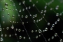 bubble abstract 2