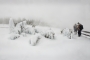 počasí, že by ani fotografa ven nevyhnal