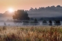 David  Kameník - Autumn morning