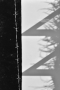 II
