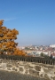 Aleš Bokr - Vyhlídka - Vyšehrad