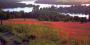 Frymburk