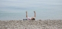 Poprvé  1