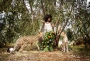 Miqo Cash - Safari Cheetahs