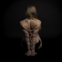 Zdeněk Jirků - shibari II