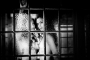 Všechny krásy mužů a žen - Fotograf roku - Kreativita - V.kolo - Sugarbabes