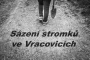 Hubert Müller - Sázení stromků ve Vracovicích