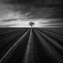 Kouzlíme černobíle - Fotograf roku - Top 20 - XII.kolo - Brázdy