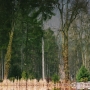 vodníková lesná cesta