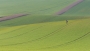 Vlny a fotograf