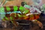 Vanda Plastiakova - Spousta barev