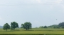 Matěj Vrba - Stromy