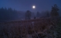 Fotograf roku v přírodě 2017 - Šumava Kepelské Zhůří