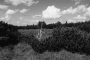 Lukáš Trgiňa - BW