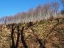 Stínohra