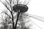UFO v kriači