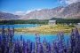 V přírodě - Jezero Tekapo, Nový Zéland