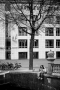 Amsterdam, Netherlands, 2017,#3