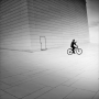 Tóny černé a bílé - Fotograf roku - Kreativita - VIII.kolo - Cyklistická