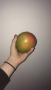 Adéla Sirná - mango