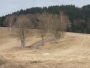 Mikuláš Malina - Cesta 