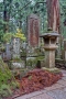 Starověký Japonský hřbitov
