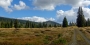 Šumava Luzný