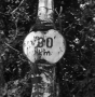 Radim Rusek - 30