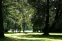 lavička