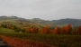 Ivana DOBEŠOVÁ - vybarvený Vyškovec (Bílé Karpaty)