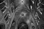 Milan Kůs - Notre-Dame de Paris