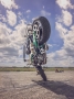 Miloslav Nemec - Czech Stunt