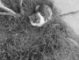 čičí poobědová siesta na letišti :o))